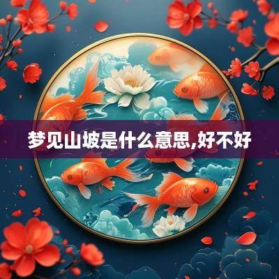 梦见山坡是什么意思,好不好