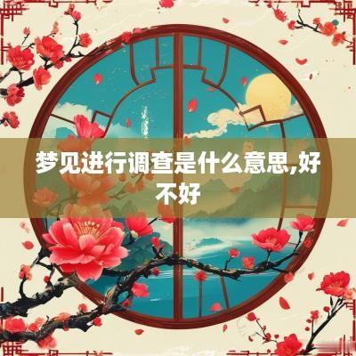 梦见进行调查是什么意思,好不好