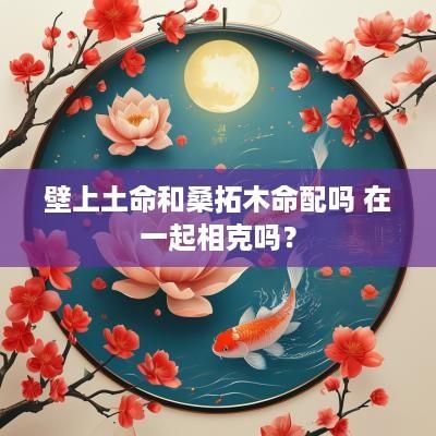 壁上土命和桑拓木命配吗 在一起相克吗？