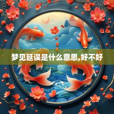 梦见延误是什么意思,好不好