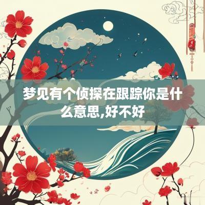 梦见有个侦探在跟踪你是什么意思,好不好