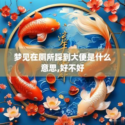 梦见在厕所踩到大便是什么意思,好不好