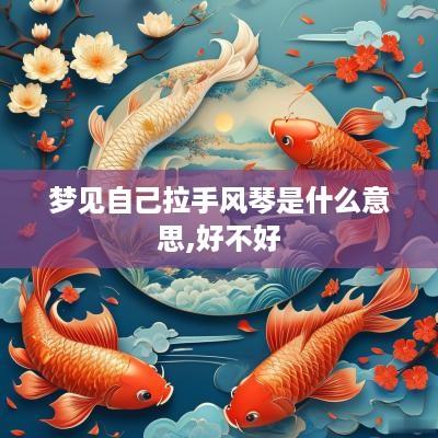 梦见自己拉手风琴是什么意思,好不好