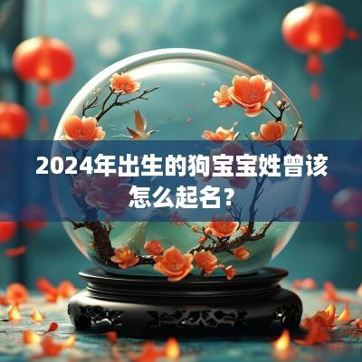 2025年出生的狗宝宝姓曾该怎么起名？
