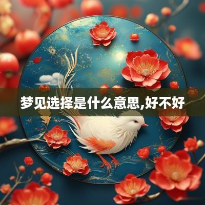 梦见选择是什么意思,好不好