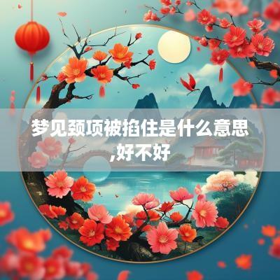 梦见颈项被掐住是什么意思,好不好