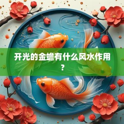 开光的金蟾有什么风水作用？