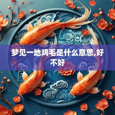 梦见一地鸡毛是什么意思,好不好