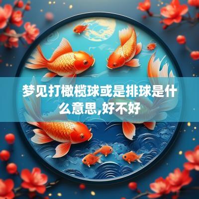 梦见打橄榄球或是排球是什么意思,好不好