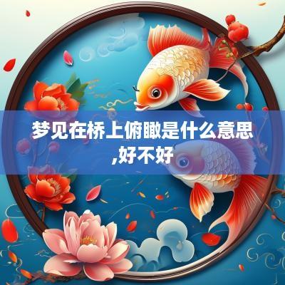 梦见在桥上俯瞰是什么意思,好不好