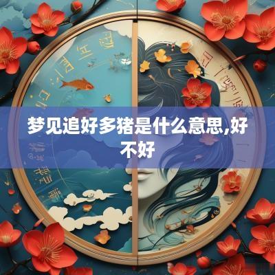 梦见追好多猪是什么意思,好不好