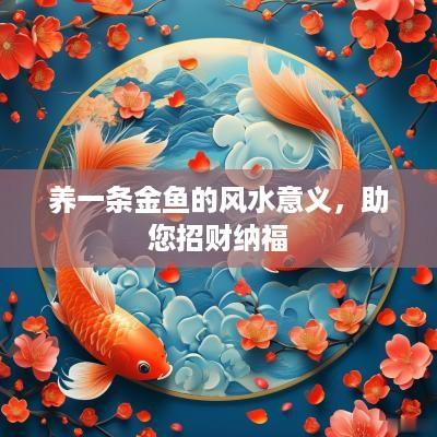 养一条金鱼的风水意义，助您招财纳福