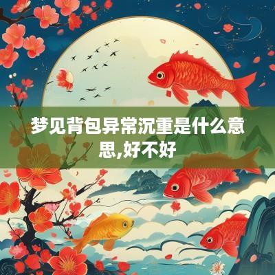 梦见背包异常沉重是什么意思,好不好