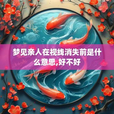梦见亲人在视线消失前是什么意思,好不好