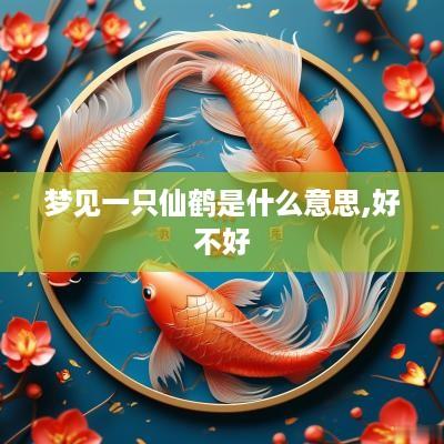 梦见一只仙鹤是什么意思,好不好