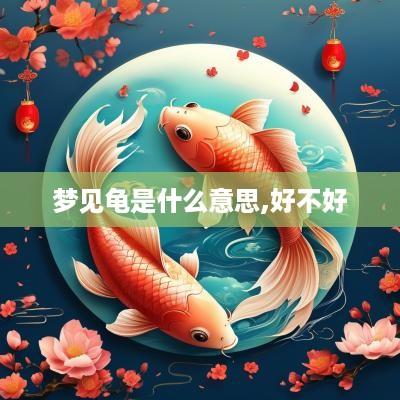 梦见龟是什么意思,好不好