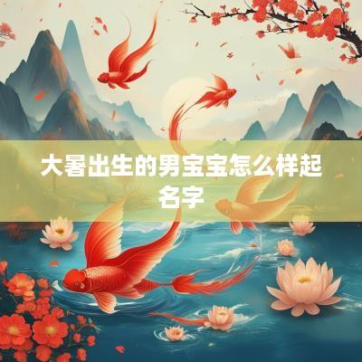 大暑出生的男宝宝怎么样起名字
