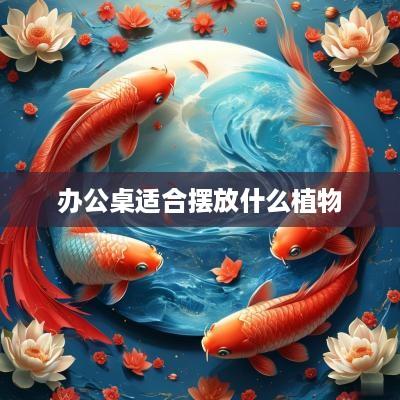 办公桌适合摆放什么植物