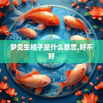 梦见生桔子是什么意思,好不好