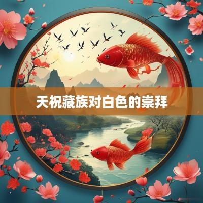 天祝藏族对白色的崇拜