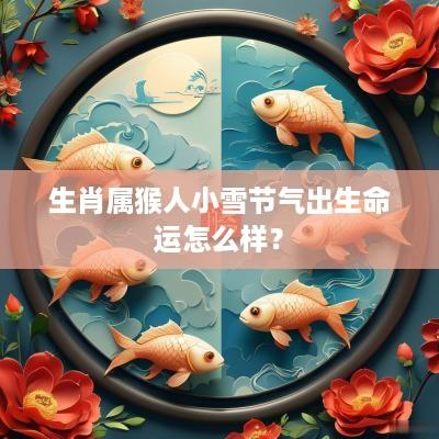 生肖属猴人小雪节气出生命运怎么样？