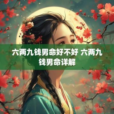 六两九钱男命好不好 六两九钱男命详解