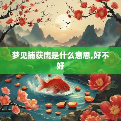 梦见捕获鹰是什么意思,好不好