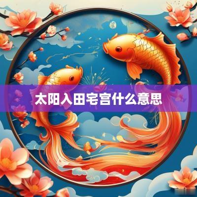 太阳入田宅宫什么意思