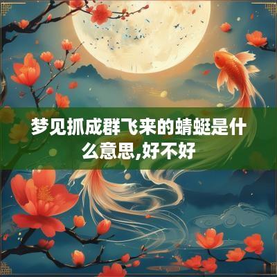 梦见抓成群飞来的蜻蜓是什么意思,好不好