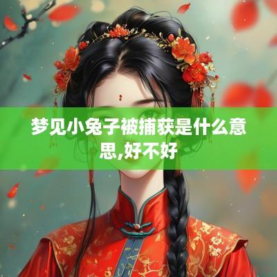 梦见小兔子被捕获是什么意思,好不好