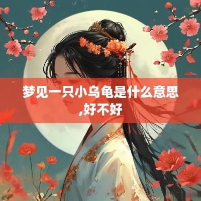 梦见一只小乌龟是什么意思,好不好