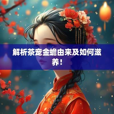 解析茶宠金蟾由来及如何滋养！