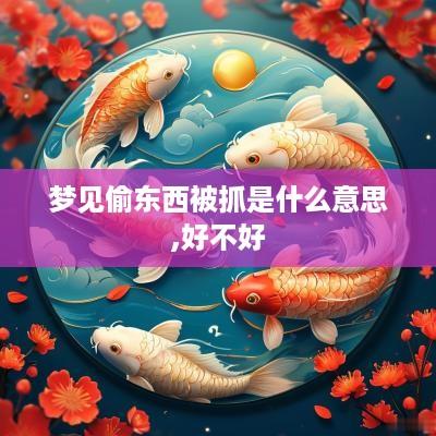 梦见偷东西被抓是什么意思,好不好