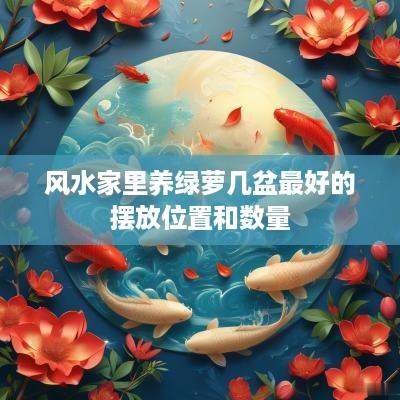 风水家里养绿萝几盆最好的摆放位置和数量