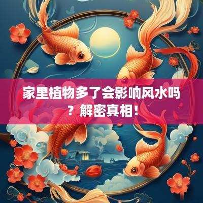 家里植物多了会影响风水吗？解密真相！
