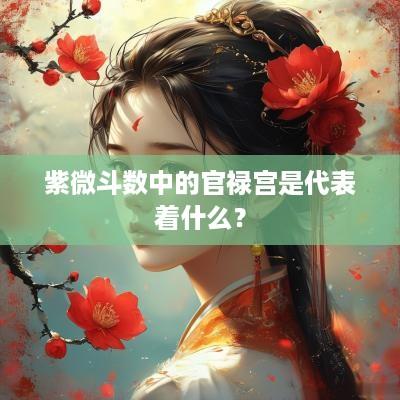 紫微斗数中的官禄宫是代表着什么？