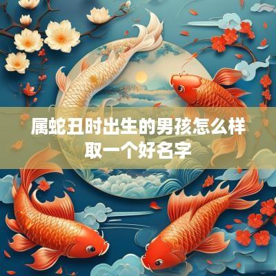 属蛇丑时出生的男孩怎么样取一个好名字