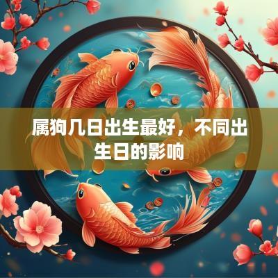 属狗几日出生最好，不同出生日的影响