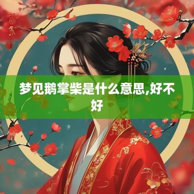 梦见鹅掌柴是什么意思,好不好