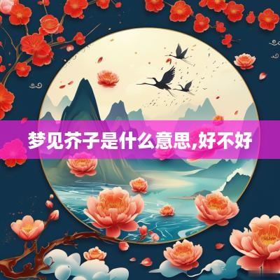 梦见芥子是什么意思,好不好