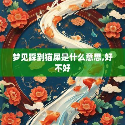 梦见踩到猫屎是什么意思,好不好