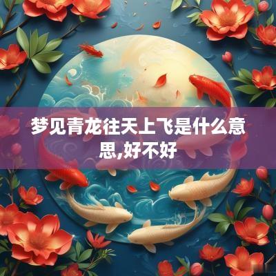 梦见青龙往天上飞是什么意思,好不好