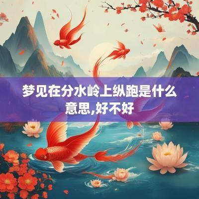 梦见在分水岭上纵跑是什么意思,好不好