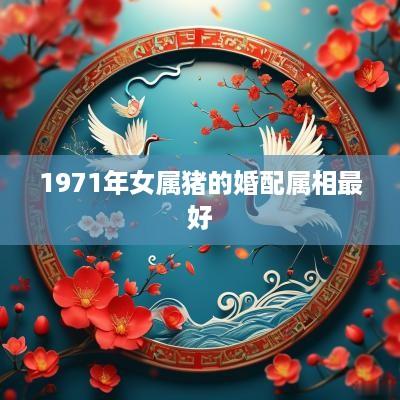 1971年女属猪的婚配属相最好