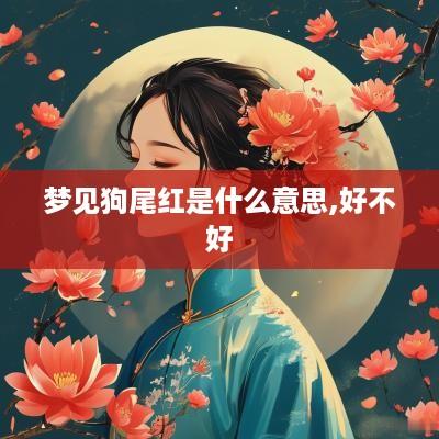 梦见狗尾红是什么意思,好不好