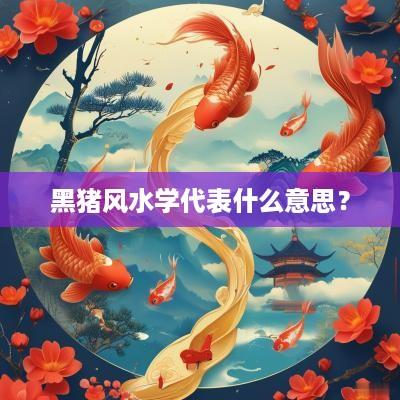 黑猪风水学代表什么意思？