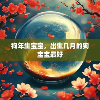 狗年生宝宝，出生几月的狗宝宝最好