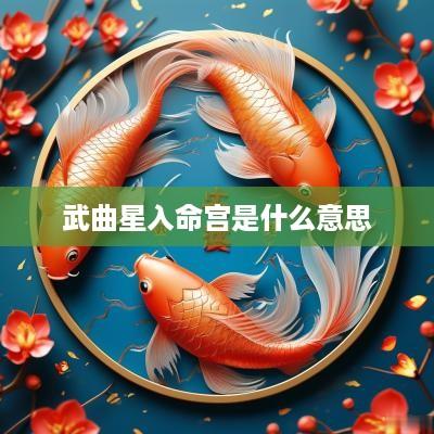 武曲星入命宫是什么意思