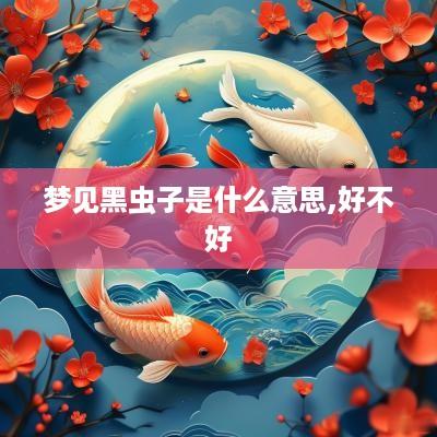 梦见黑虫子是什么意思,好不好