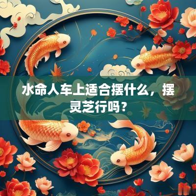 水命人车上适合摆什么，摆灵芝行吗？